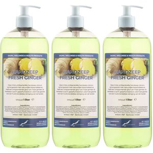 Handzeep Fresh Ginger 1 liter - set van 3 stuks - met gratis pomp - Voordeelverpakking