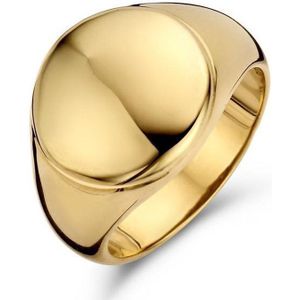 New Bling Zilveren Zegel Ring 9NB 0272 58 - Maat 58 - 13 x 21,3 mm - Goudkleurig