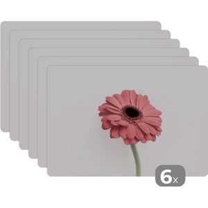 Placemat - Placemats kunststof - 45x30 cm - Bloemen - Roze - Natuur - Wit - Plant - 6 stuks - Borden onderleggers antislip - Tafel decoratie - Luxe tafelversiering - Tafelmat vinyl - Bord onderlegger - Tafeldecoratie accessoires