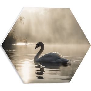 PVC Schuimplaat Hexagon - Witte Zwaan Dobberend in de Schaduw op het Water - 40x34.8 cm Foto op Hexagon (Met Ophangsysteem)