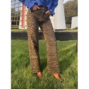 Hill Fashion - Spijkerbroek - Azzurro - Leopard print - Zwart, bruin - Maat M