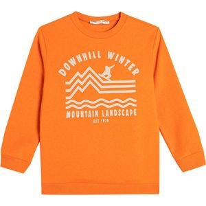 Ronde kraag Met drukwerk Sweatshirt