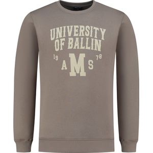 Ballin Amsterdam - Heren Regular fit Sweaters Crewneck LS - Taupe - Maat XL
