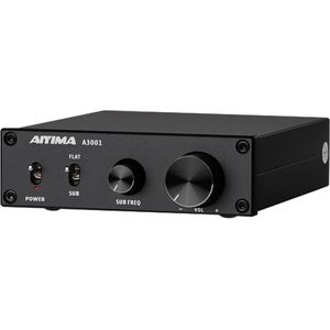 Krachtige Mini Subwoofer Versterker 200W - HiFi Mono Eindversterker Klasse D