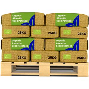 Biologische Pootaardappelen Alouette A 28/35 - 500 kg - Plantgoed - Skal En Nak-Gecertificeerd - Oogst Na 90 Dagen - Lang Ovale Vorm - Ziekteresistentie Tegen Phytophthora - Robuust Tegen Schurft - Geschikt Voor Koudere Bodems - Organifer