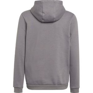 adidas Performance Entrada 22 Sweat Hoodie - Kinderen - Grijs- 116