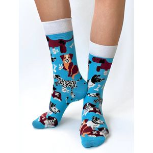 MedSocks - Diergeneeskunde Sokken