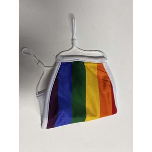 Regenboog mondkapje - 3-laags