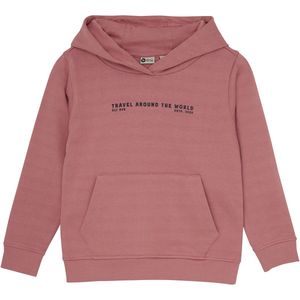 DAILY7 Hoodie Artwork Truien & Vesten Jongens - Sweater - Hoodie - Vest- Roze - Maat 104