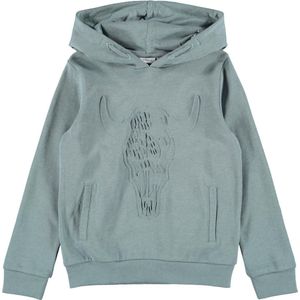 Name It Boy - Sweater - Maat 116 - Jongens - trooper -