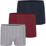 LORD HILLNEW - Donkerblauw - Set van 3 Retroslips - Boxershorts