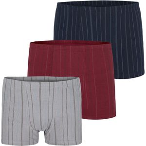 LORD HILLNEW - Donkerblauw - Set van 3 Retroslips - Boxershorts