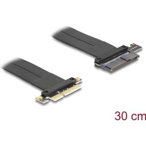Delock - Riser Kaart - PCI Express 3.0 x4 - U.2 SFF-863 - 30 cm Kabel