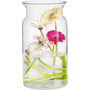 Grote glazen vaas, hoog, 29,5 cm, bloemenvaas, grote vloervaas, glas, grote vaas, amaryllis, vaas, tulpen, ronde glazen vaas, cilinder, doorzichtig, grote vazen voor de vloer, Ø 16 cm,