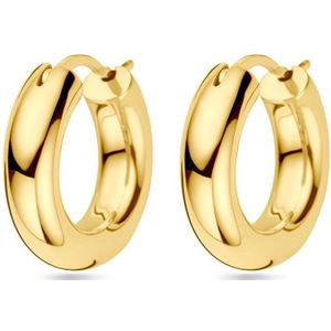 Zilver Verguld (Geel) Oorringen 1 Micron 2103461