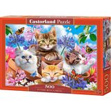 Castorland Kittens with Flowers - 500pcs