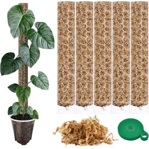 PlantScraper Mosstok Pakket - 5 Mosstokken - 150 gram Spagnum Mos - Bindtouw - Transparant - Verlengbaar - Plantenstok - Mosstok Monstera - Mosstok Voor Planten
