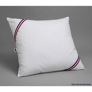 DODO Pack 2 trendy kussens 60x60cm + 2 waterdichte kussenbeschermers 60x60cm - 100% Polyester vulling