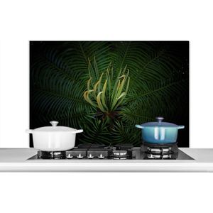 Spatscherm keuken 100x65 cm - Kookplaat achterwand Een bloeiende cycas plant op een zwarte achtergrond - Muurbeschermer - Spatwand fornuis - Hoogwaardig aluminium