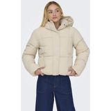 JDY - JDYWONDER SHORT HOOD PUFFER - Gewatteerde Jas - Dames