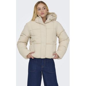 JDY - JDYWONDER SHORT HOOD PUFFER - Gewatteerde Jas - Dames