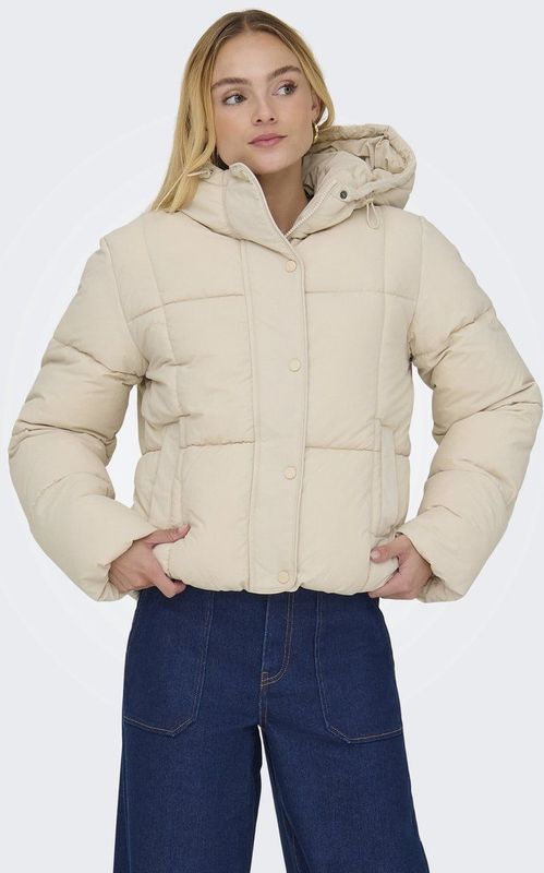 JDY - JDYWONDER SHORT HOOD PUFFER - Gewatteerde Jas - Dames