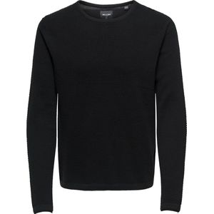 Only & Sons - ONSPANTER REG 12 STRUC CREW KNIT NOOS - Trui - Zwart