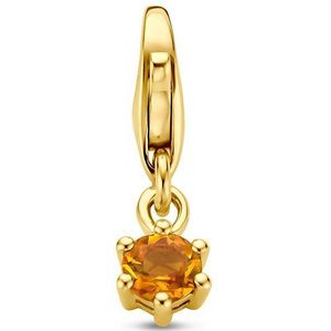 Slotbedel Met Geboortesteen 14K Geelgoud