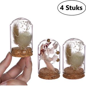 Comforder Droogbloemen Boeket in Mini vaas - Set van 4 Gedroogde Bloemen met Glas - Moederdag Cadeautje