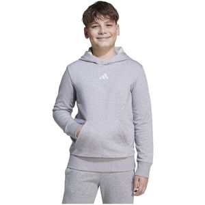 Adidas - Essentials Big Logo - Hoodie - Grijs - 55% Katoen, 36% Polyester (Gerecycled), 9% Viscose