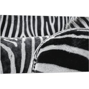 Vlag - Strepen op Lichamen van Kudde Zebra's - 90x60 cm Foto op Polyester Vlag