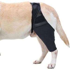 Dog Knee Brace - Dog Hip Knee Leg Brace - Pet Hip Brace Provides Support And Comfort Without Compromising - Post Body Suit - Upgraded Adjustable Leg Support - Auxiliary belt - Prevent Wear and Tear - S