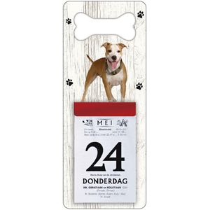 Scheurkalender 2024 Hond: Amerikaanse Staffordshireterrier