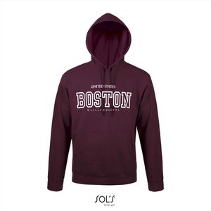 Hoodie 3-200 Boston Massachusetts - Drood, xS