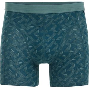 WE Fashion Heren boxershort met dessin