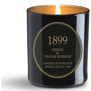 Cereria Mollà 1899 Geurkaars 230g Ginger & Orange Blossom Gold Edition sojawas katoenen lont mooi design