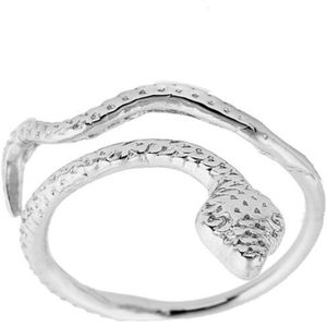 24/7 Jewelry Collection Slang Ring Verstelbaar - Verstelbare Ring - Zilverkleurig