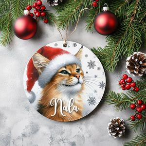 Kerstboom hanger Chausie met naam