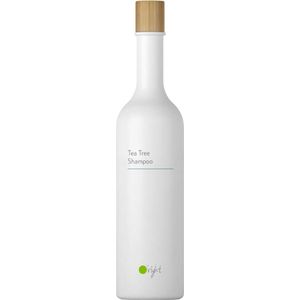 O'right Tea Tree Shampoo 400ml | Anti roos