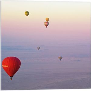 WallClassics - Vlag - Ballonvaarten in Verschillende Luchtballonnen - 50x50 cm Foto op Polyester Vlag