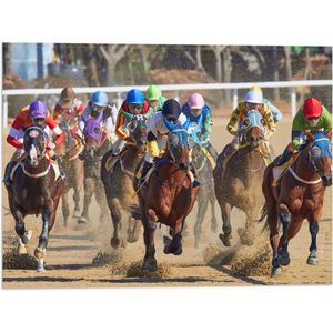 WallClassics - Vlag - Paarden Race - 40x30 cm Foto op Polyester Vlag