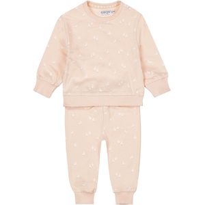 Dirkje meisjes 2-delig setje Light pink - 01 Girls lovely