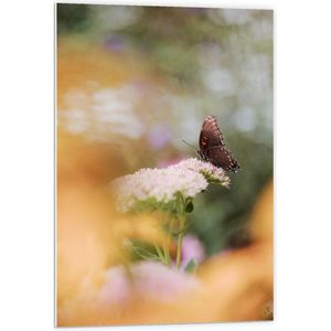 Forex - Bruine Vlinder op de Bloemen - 60x90cm Foto op Forex