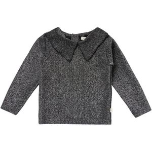 Your Wishes Glitter Collar Longsleeve Tops & T-shirts Meisjes - Shirt - Zilver - Maat 86
