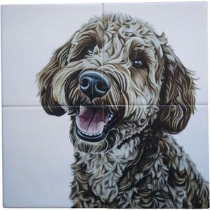 MadDeco Nederlands fabrikaat Labradoodle op plateau van 4 tegels Friese Witjes 13 x 13 cm per tegel