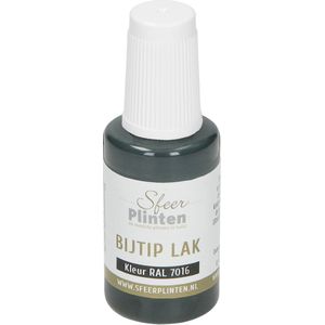 Sfeerplinten bij-tip-lak - RAL 7016 - 20 ml