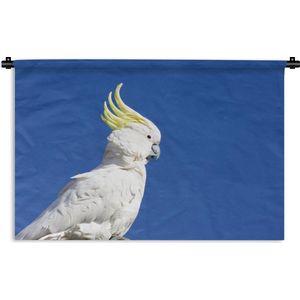 Wandkleed Kaketoes - Witte kaketoe met een gele kuif in een blauwe hemel Wandkleed katoen 180x120 cm - Wandtapijt met foto XXL / Groot formaat!