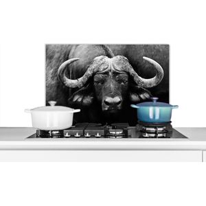 Spatscherm keuken 70x50 cm - Kookplaat achterwand Dieren - Buffalo - Zwart - Wit - Portret - Muurbeschermer - Spatwand fornuis - Hoogwaardig aluminium