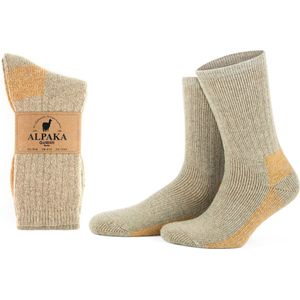 GoWith Alpaca Thermosokken-2 paar-Wollen Sokken-Maat 43-46
