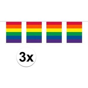 3x Gay Pride regenboog kleuren thema vlaggenlijnen10 meter - LHBT thema artikelen